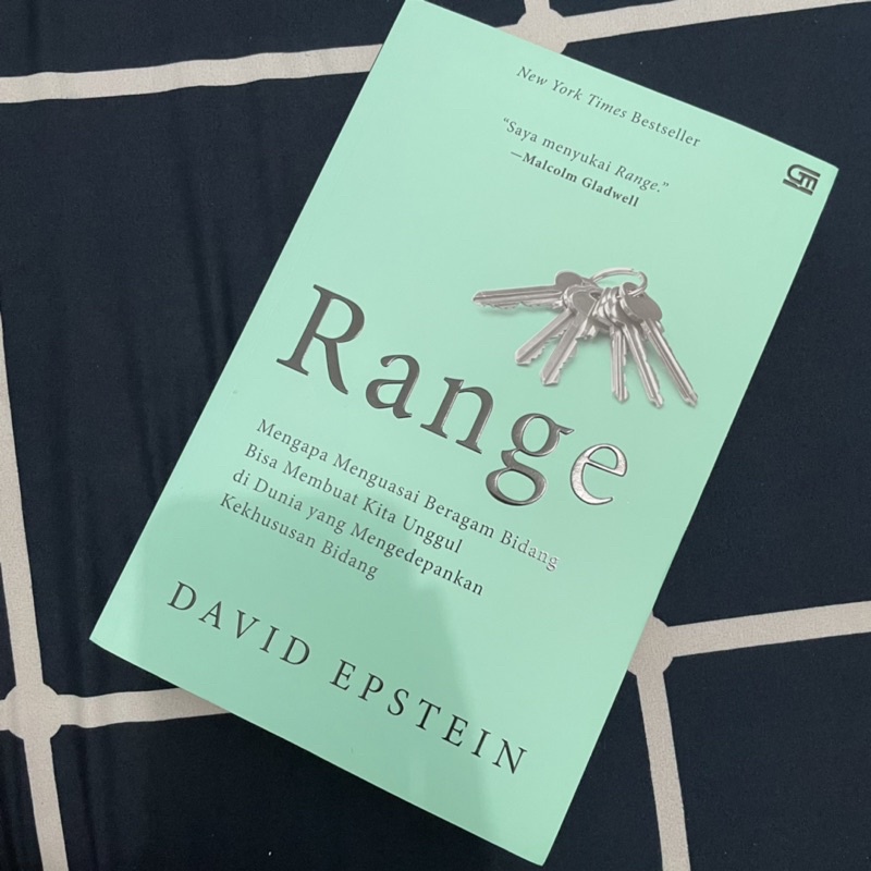 PRELOVED BUKU RANGE - DAVID EPSTEIN (ORI)