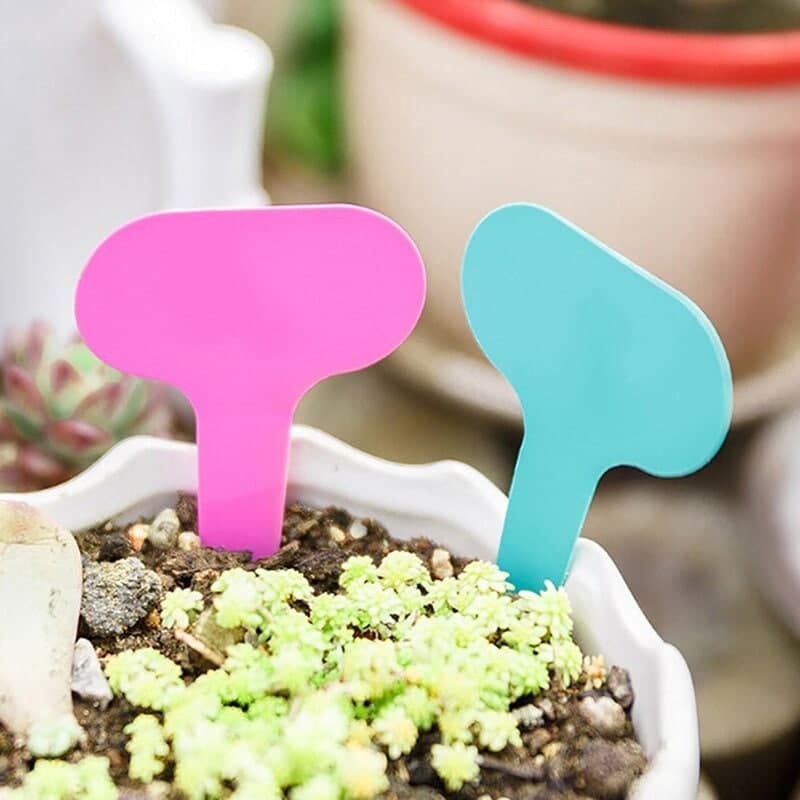 PENANDA LABEL TANAMAN HIAS PLANT LABEL SEMAI BENIH BIBIT FEFARM