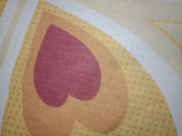 Bibit Tanaman Parijoto