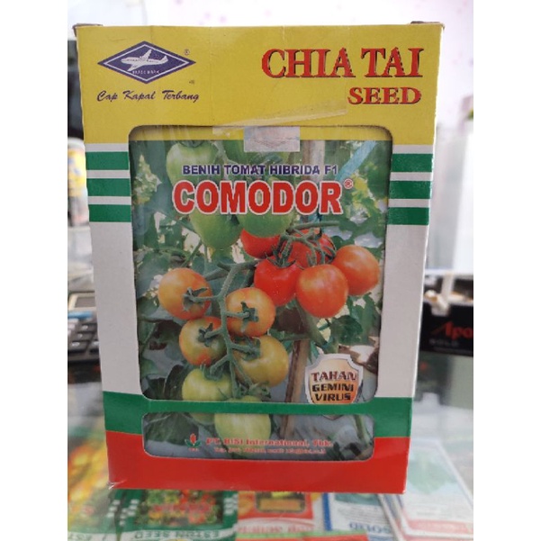 benih tomat hibrida f1 comodor