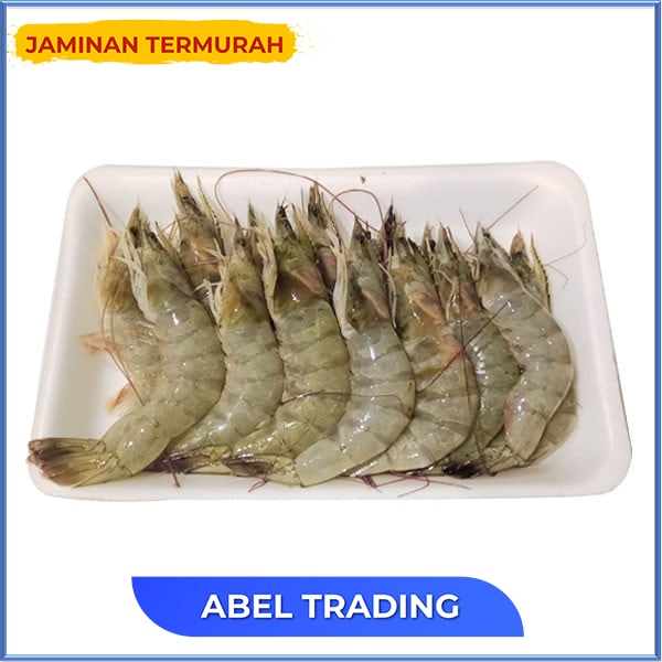 

Udang Vaname 240 Gr
