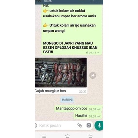 Hot Product--Umpan ikan nila paling jitu NS produk raja kroto cirata
