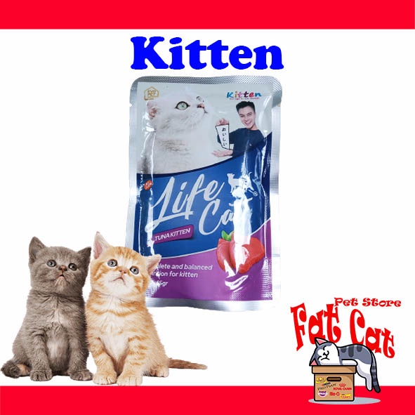 LIFE CAT KITTEN POUCH / SASET Makanan Kucing All Variants (85gram