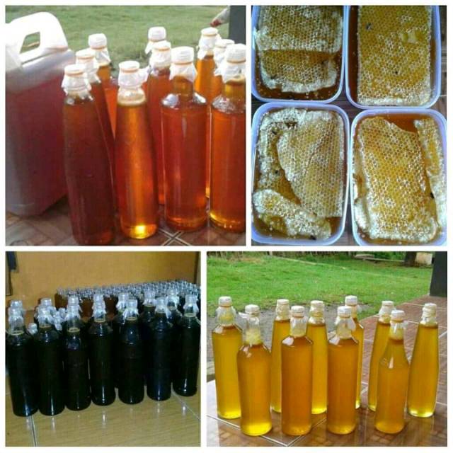 

Madu asli