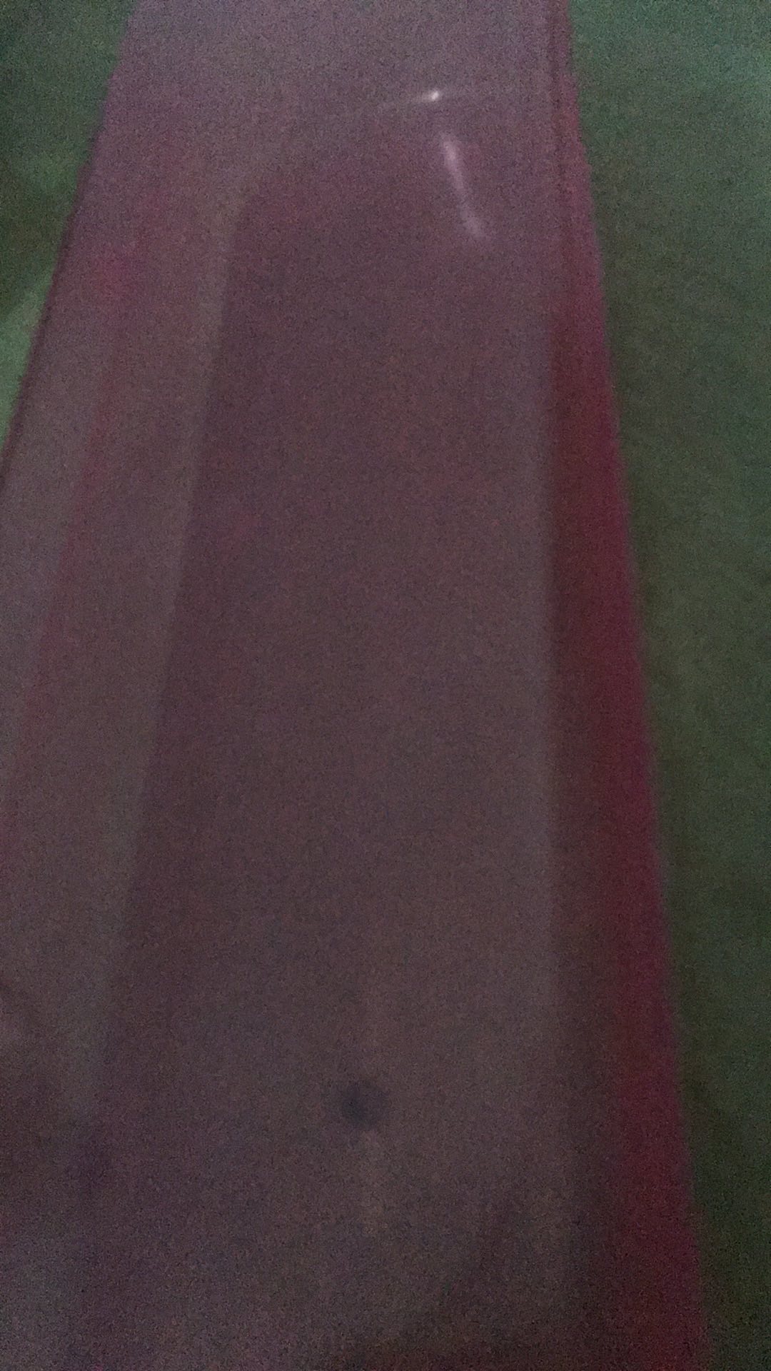 Kotak Tempat Sikat Gigi Dan Pasta / Odol Warna Warni Simple