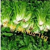 

siomak uk ½ + Gratis Bonus