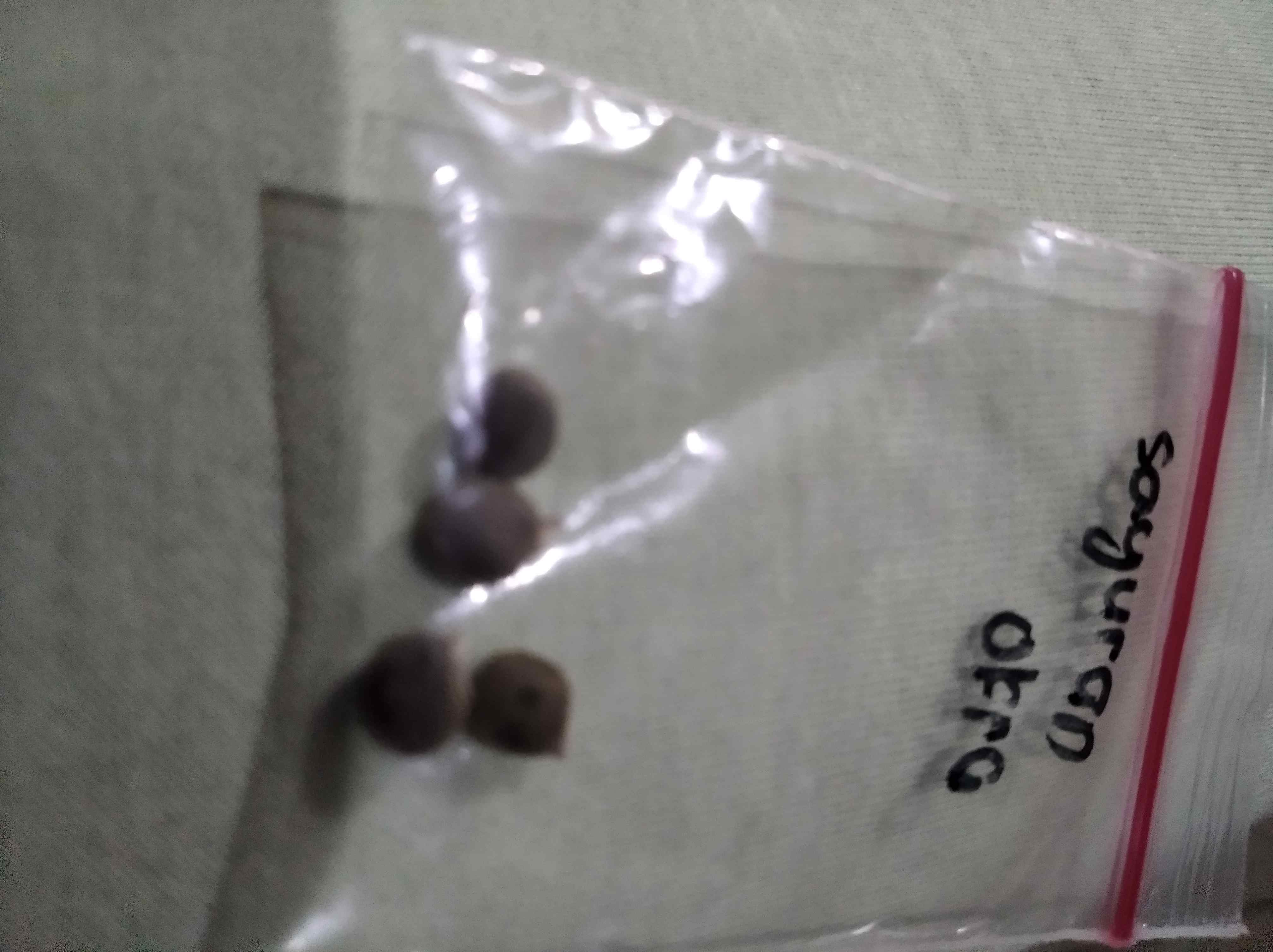 Pisau Lipat Knife Grafting Cangkok Okulasi Bonsai Stek Dll