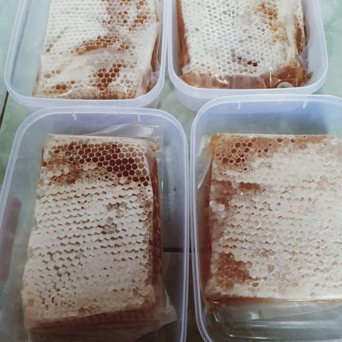

! Madu Sarang Apis Melifera 500 Gr