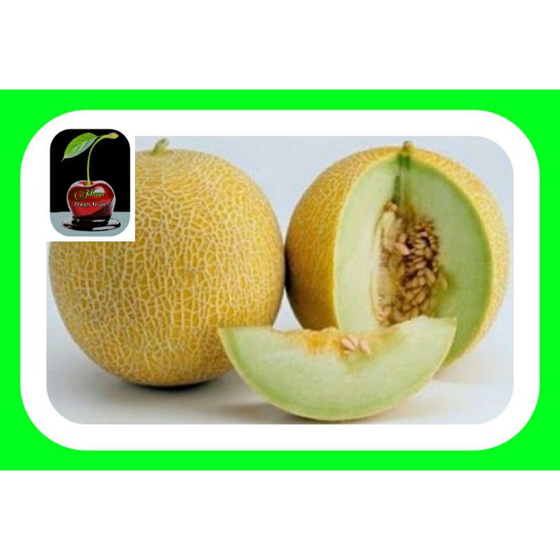 

Buah Melon Premium Manis