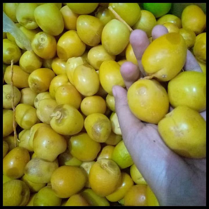 

DS WELCOME 500gr Merah Kuning ruthab kurma muda grade #2
