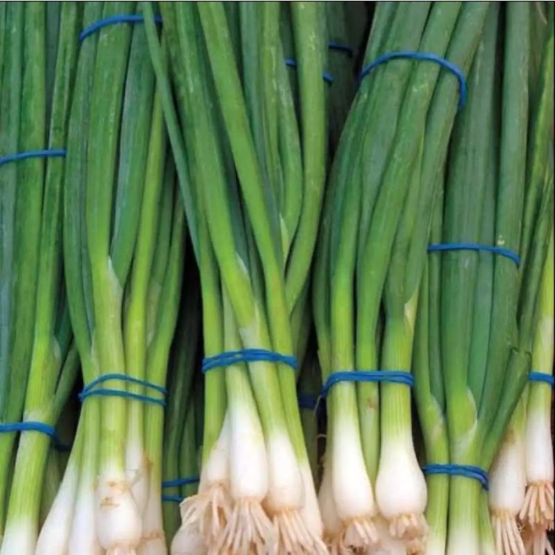 

Daun bawang Prei 500 gram