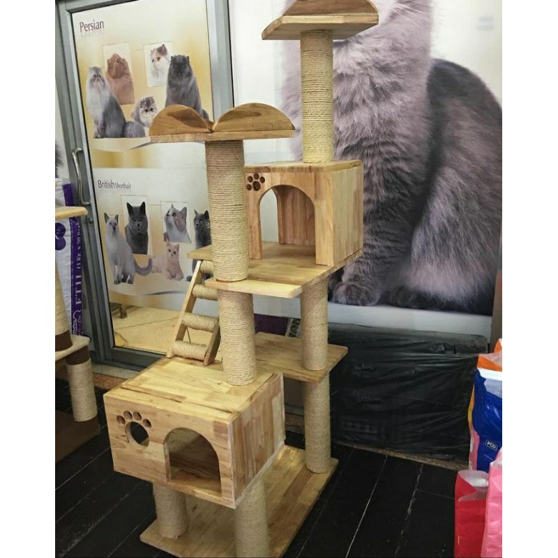 cat condo