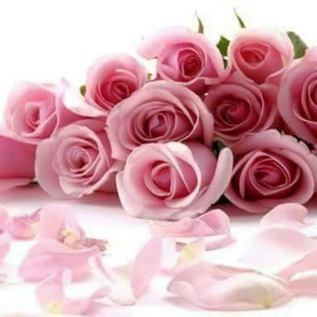 suzhan_frilhany