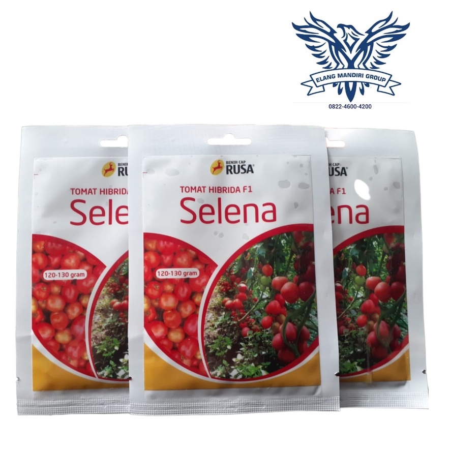 Benih Bibit Tomat Selena - 10 Gram Cap Rusa