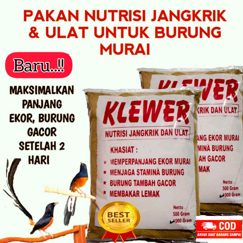 Klewer pakan jangkrik khusus burung