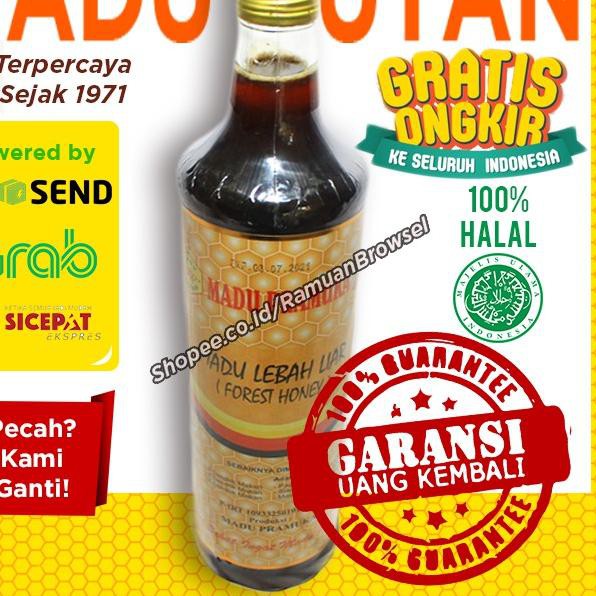 

PALING MURAH! Madu Lebah Liar Pramuka - Madu Hutan 650ml Alami BEST SELLER!!!