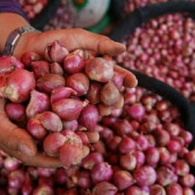 

bawang merah