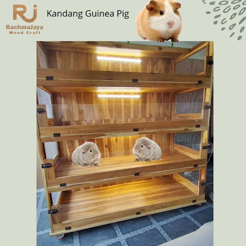 Kandang Marmut Kandang Guinea Pig