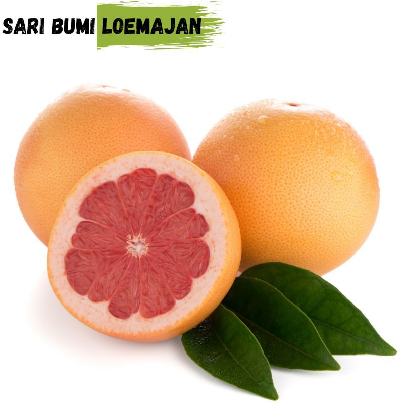 

sari bumi loemajan buah jeruk bali 2 sampai 3 kg