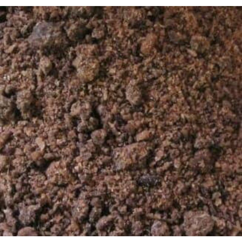 

Pliek U kelapa aceh kering 100gr