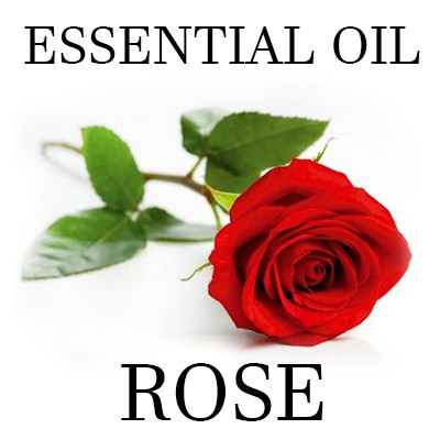 ROSE ESSENTIAL OIL 20CC Minyak Atsiri Essential Oil