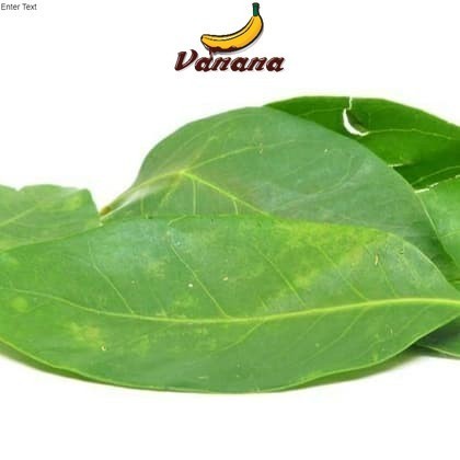 

sayur segar daun salam per pack