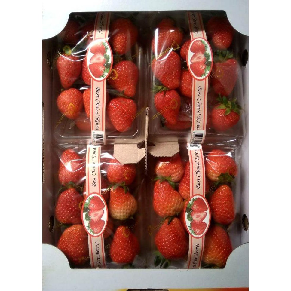 

SAYUR & BUAH STRAWBERRY KOREA FRESH IMPORT PER PACK MAKANAN & MINUMAN