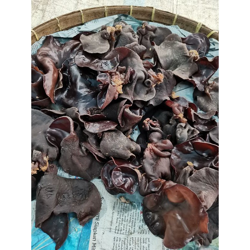 

jamur kuping/lember 250gr