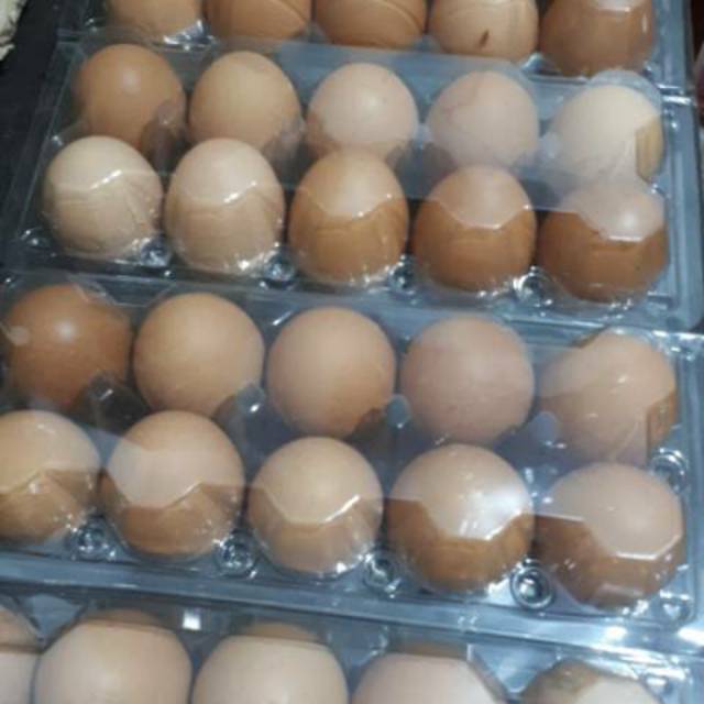 

EGGTRAY MIKA EGGTRAY PLASTIK ISI 10 MIKA TELUR