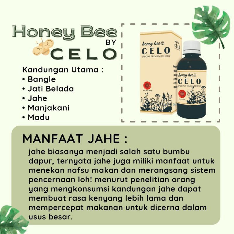 

Fast Slim Honey Bee
