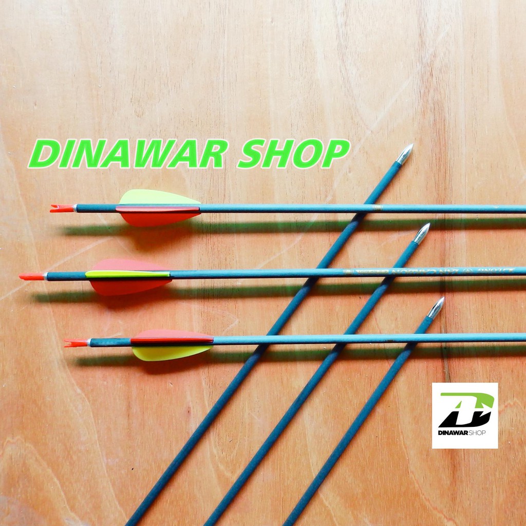 Arrow IAN Carbon Outdoor Elong Spine 700