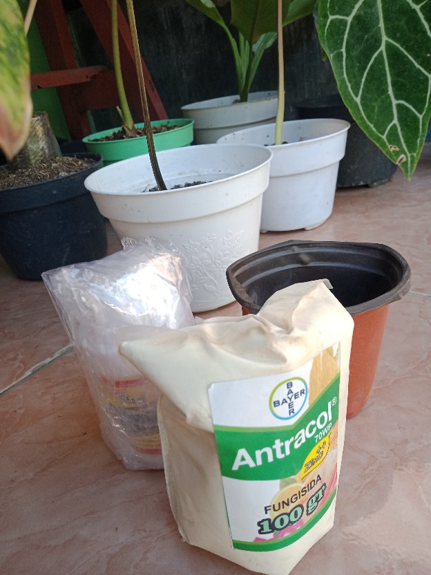 Fungisida Antracol 70 Wp - Kemasan 100 Gram (repacking)