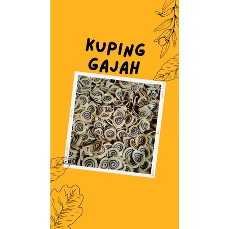 

Kuping Gajah