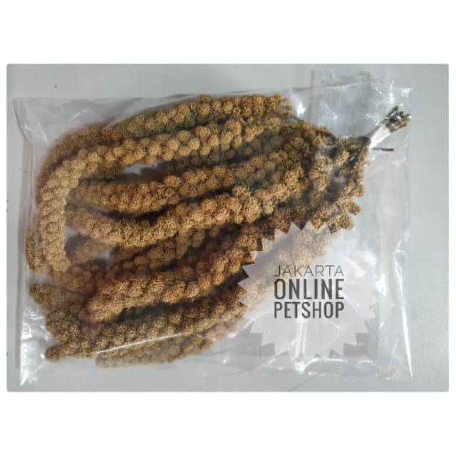 [JOP] TERLARIS Jewawut foxtail spray milet putih/krem/kuning 100gr pakan burung dan hamster