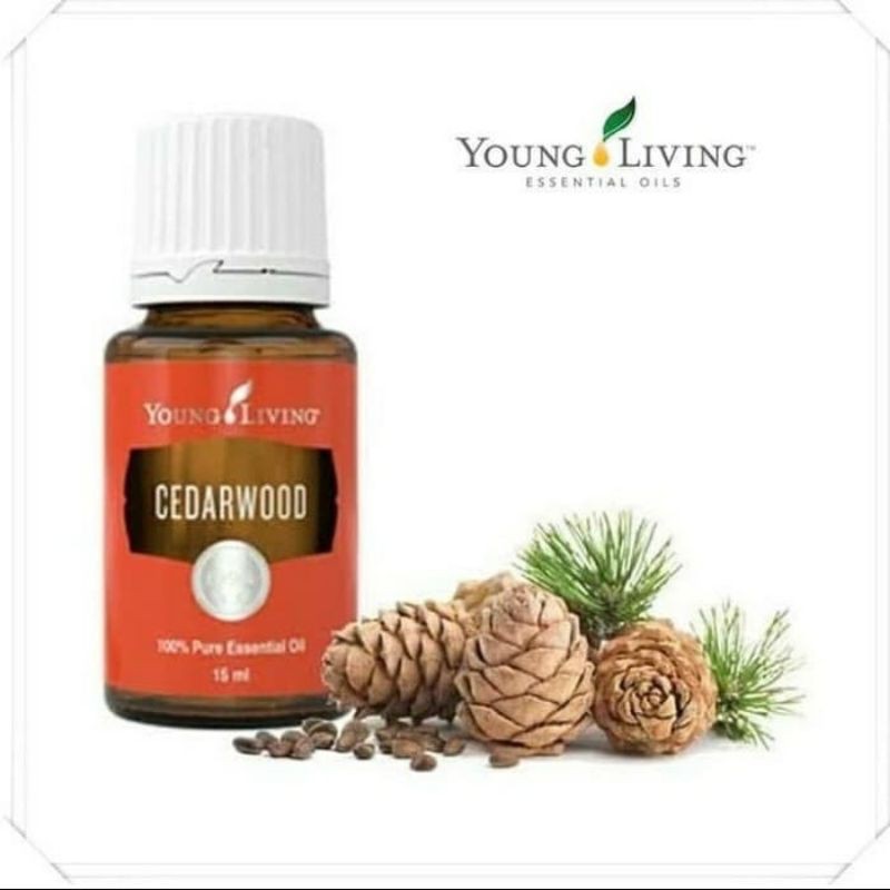 oil young living cedarwood ORI