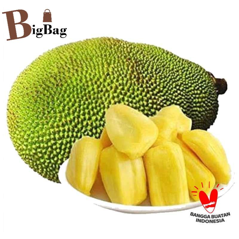 

BigBag - Nangka Madu / 1 Cup (500 Gram)