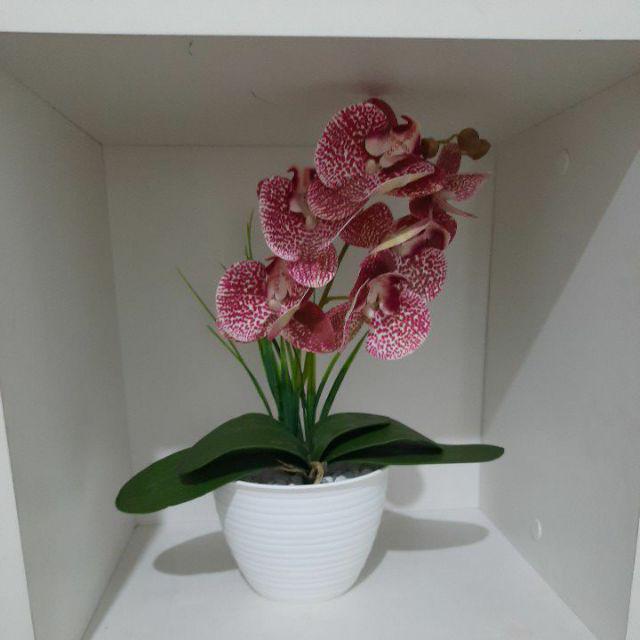 Anggrek Latex Bunga + Pot / Bunga Hias Meja / Bunga Artificial / Home Decor / Bunga Plastik / Shabby