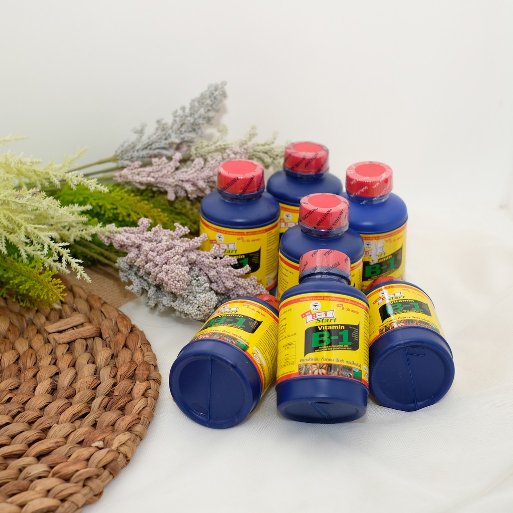 Vitamin B1 Thailand 100ml t-rex Original
