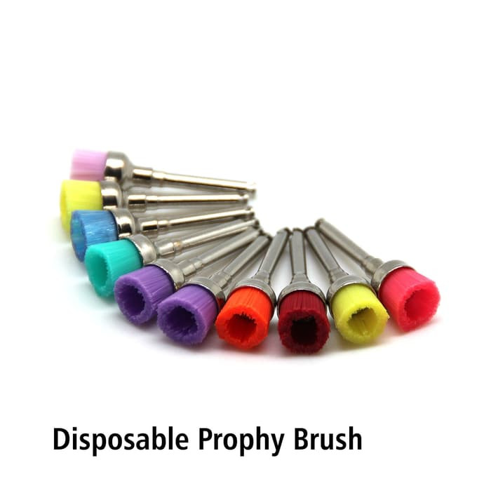 New Prophy Brush pak isi 10 pcs