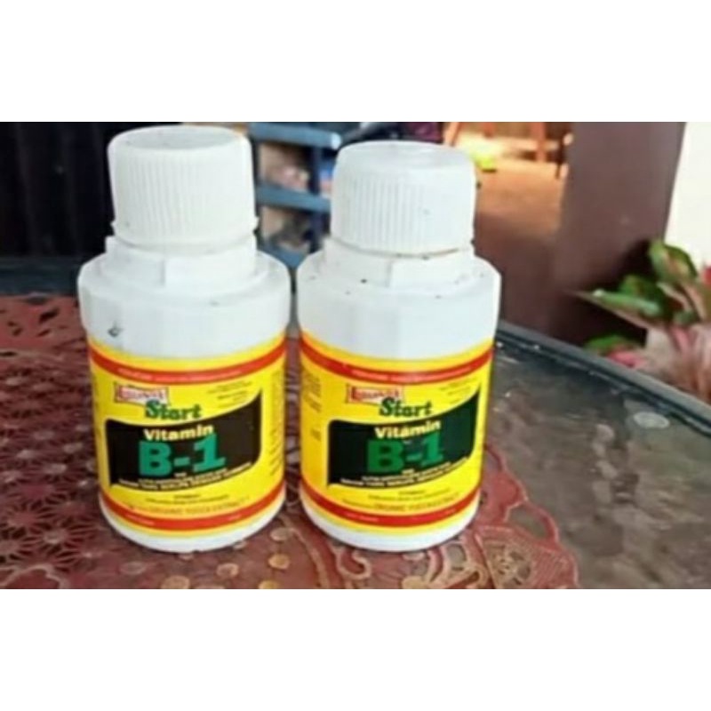 vit B1 untuk tanaman termurah