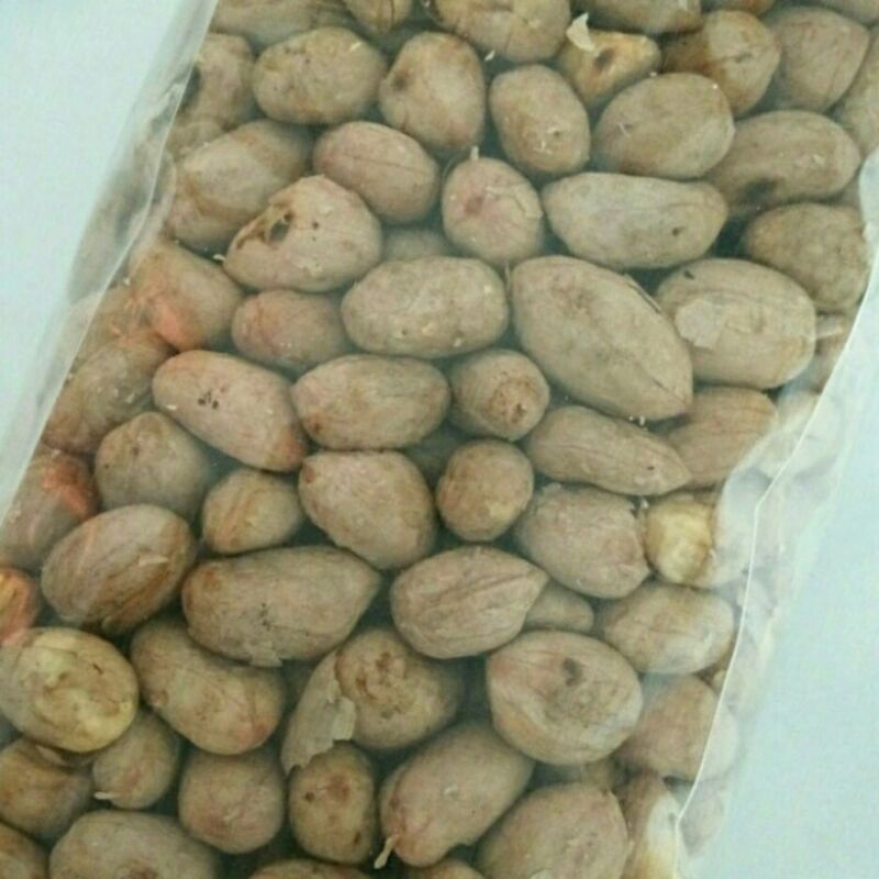 

Kacang Bogares Asli Tegal 200 Gram