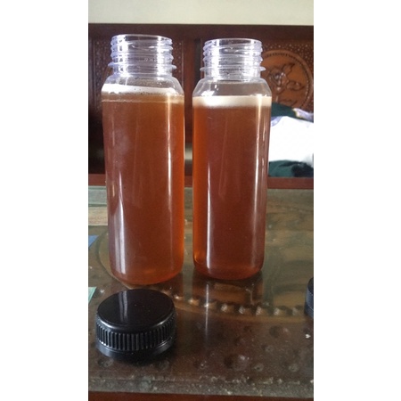 

Madu Tawon liar/ Apis carana 250ml