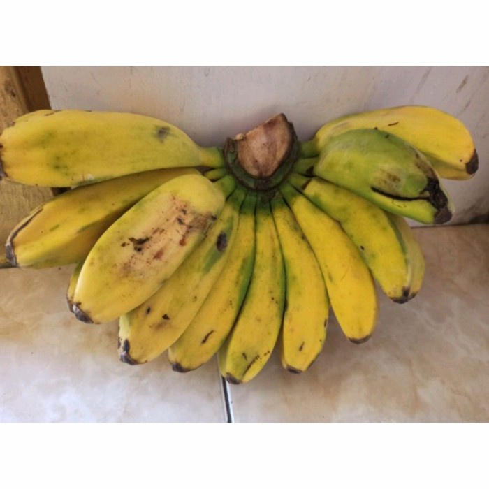 

PISANG KEPOK PER SISIR