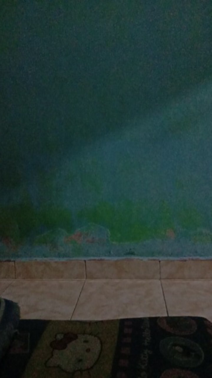 M-l-xl-xxl Batik Wanita Asj Sa Hrb026 Kenongo Kemeja Tosca Pendek