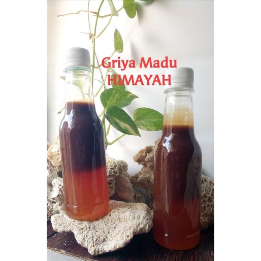 

madu klanceng original