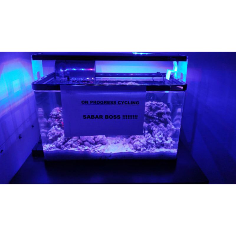 480 Koleksi Contoh Lampu Aquarium Gratis