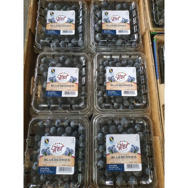 

Blueberry HBF Jumbo USA 1 Dus (12 Pack) Fresh Import