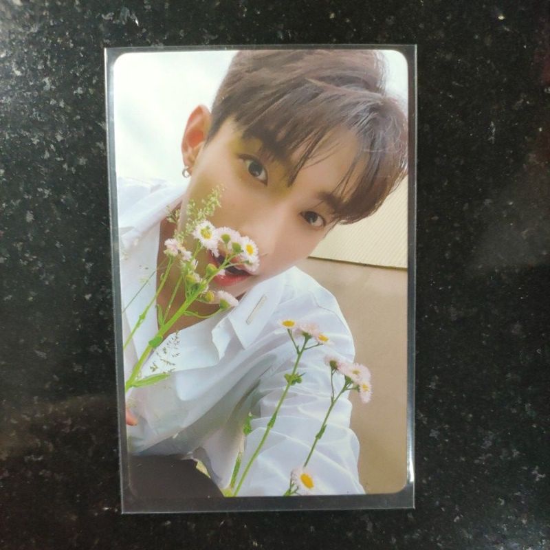 YOUR CHOICE YZY FS C DK