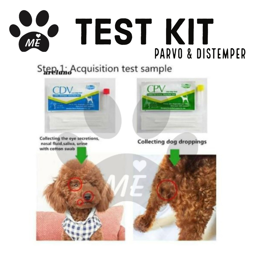 Alat Tes Kit PARVO DISTEMPER