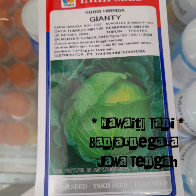 Benih Kubis Gianty (20ml)